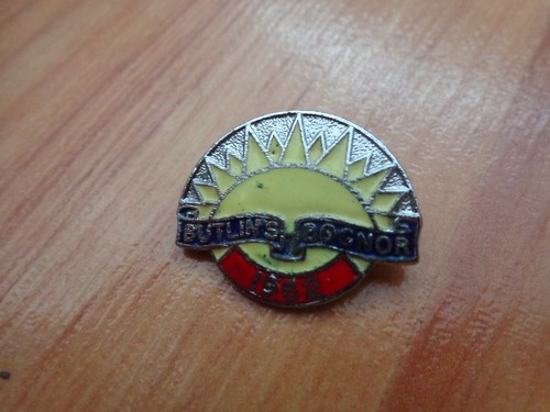 Spilla smaltata reeves vintage - spilla,