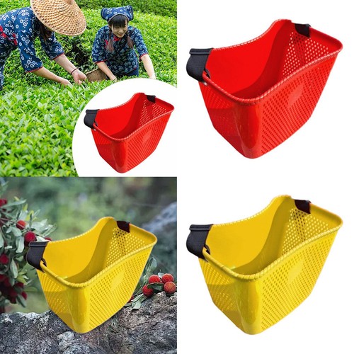 Cesto per raccolta della - la,