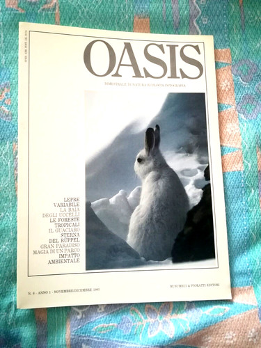 Rivista oasis numero del - numero, 6