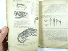 ANTICO LIBRO DI SCUOLA ZOOLOGIA SCIENZE NATURALI DEL LUPO TORINO 1887 ILLUSTRATO