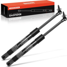 2X Molle a Gas Posteriore