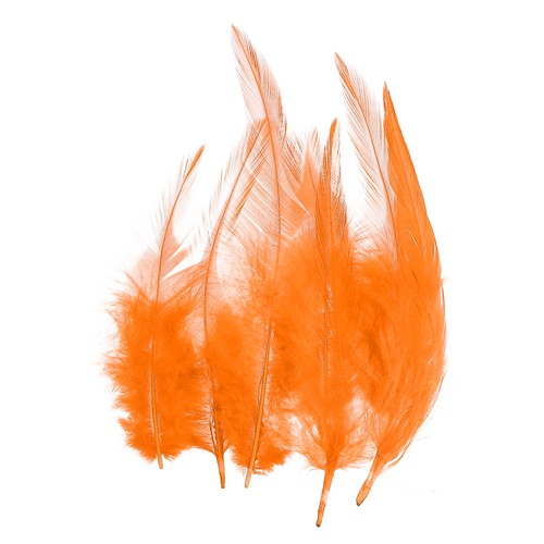 Plumas gallo silla - plumas,