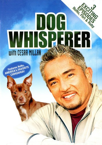 Dog whisperer with - whisperer, cesar