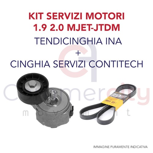 Kit cinghia servizi - servizi, +
