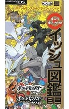 Guida Strategica NDS DS