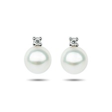 Orecchini in Oro Bianco con