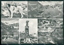 Aosta Gran San Bernardo Cane Foto FG cartolina KB1503
