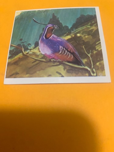 Figurina 407 mondo degli - il,