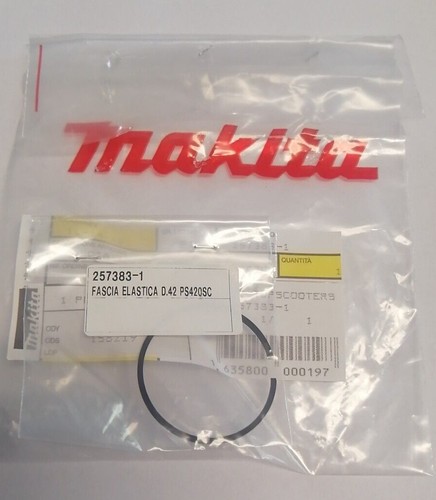 Fascia segmento elastica - fascia, o