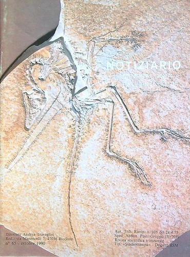 Notiziario mineralogia e - di,