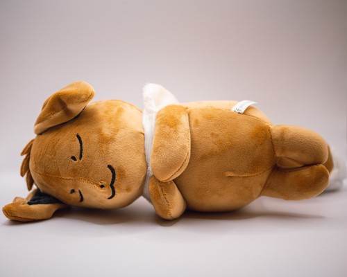 Peluche pokémon eevee - peluche, 26