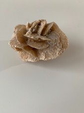 Rosa del Deserto – Formazione Minerale Naturale 8x7x6 cm