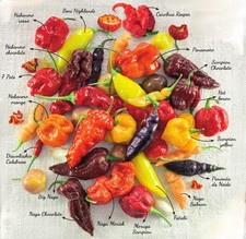 MIX PEPERONCINi PICCANTI 1 KG - 25€ - FRESCO 