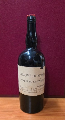 Sangue morlacco gabriele - sangue,