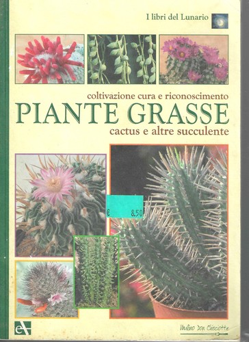 Piante grasse cactus - grasse, e