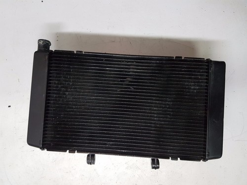 Radiator honda hornet 600 - honda, 07