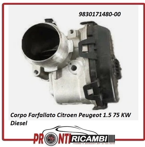 9830171480 corpo farfallato - 9830171480,