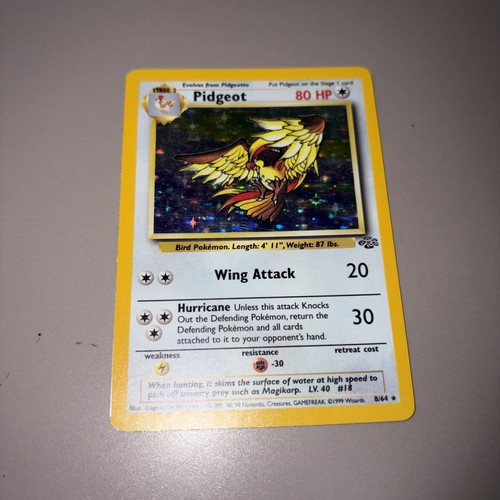 Pokémon pidgeot jungle - pokémon,