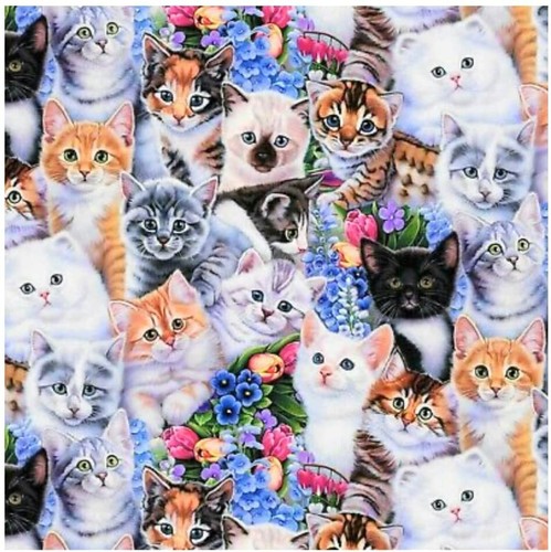 Fat quarter gattini gatti - fat,