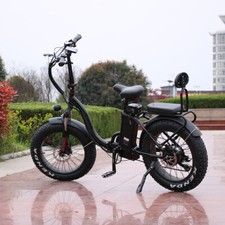 Bicicletta Elettrica