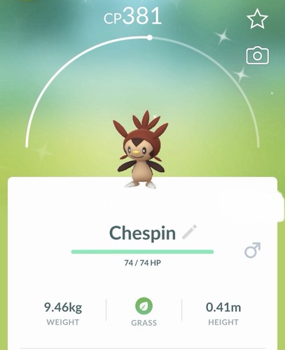 Shiny chespin pokemon gen6 - chespin,