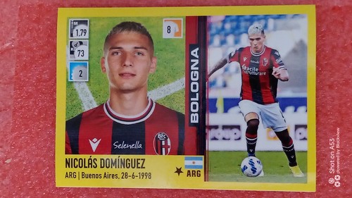 Figurine calciatori panini - figurine,