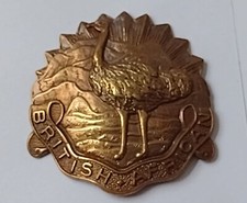 Boer War King's Colonials
