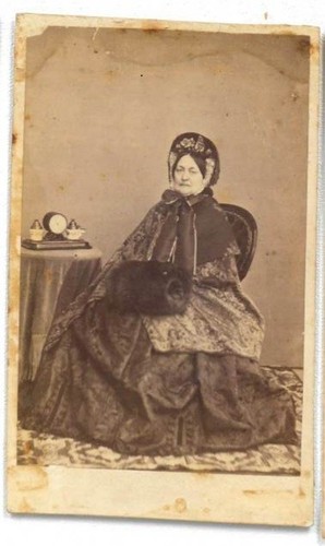 L55 cdv albumin - l55-cdv, de