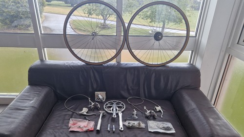 Gruppo campagnolo vittoria - campagnolo,