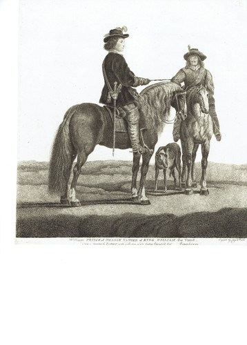 Incisione ritratto cavallo - incisione,