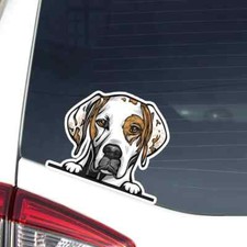 Adesivo puntatore inglese auto