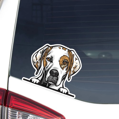 Adesivo puntatore inglese - , auto