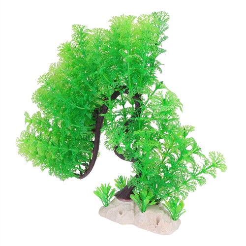 Piante finte per - ,