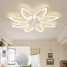 Ventilatore Da Soffitto Con
