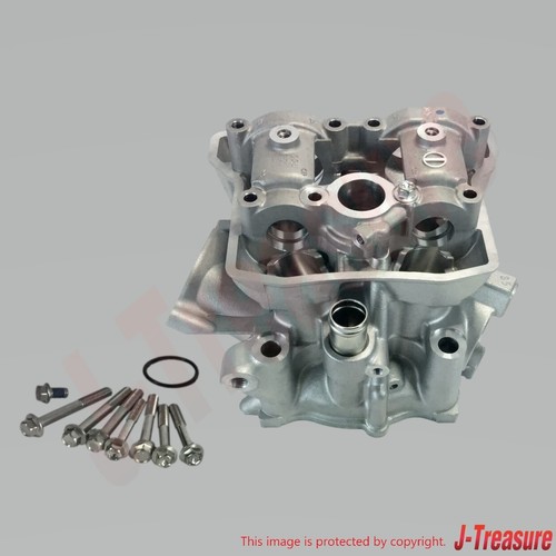Assy testa cilindro motore