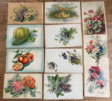 Lotto di 11 cartoline F. Piccolo a tema Fiori - Alcune firmate Bonelli