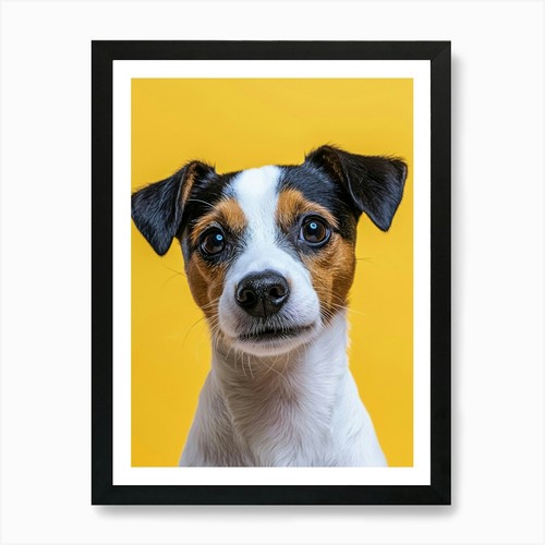 Jack russell terrier ai - jack,