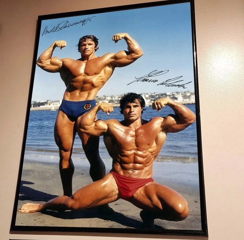 Poster arnold schwarzenegger - poster,
