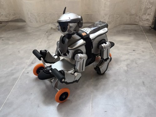 Sony aibo aigo - aigo, speed