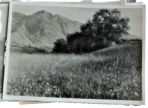 Foto epoca paesaggio - -,
