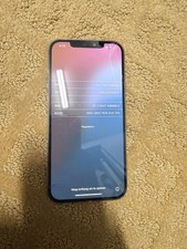 Apple iPhone 12 Pro Max