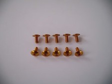 VITI IN ERGAL CARENA TESTA