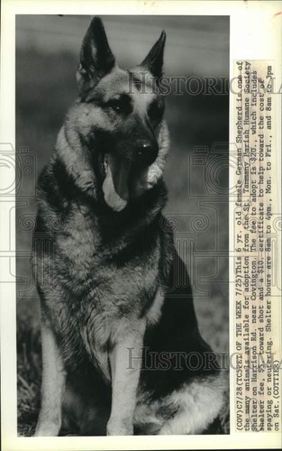 1988 press photo german - 1988,