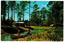 Walt Disney World Florida Postcard: Fort Wilderness, 1980's, [280