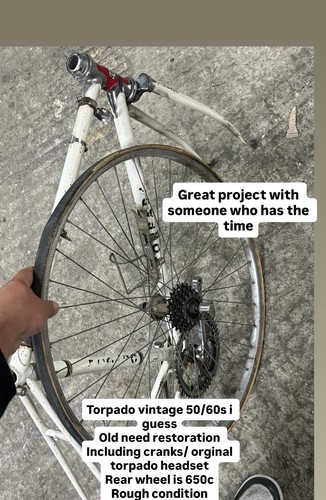 Telaio stradale torpado - telaio,