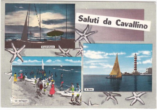 Cavallino venezia saluti - -,