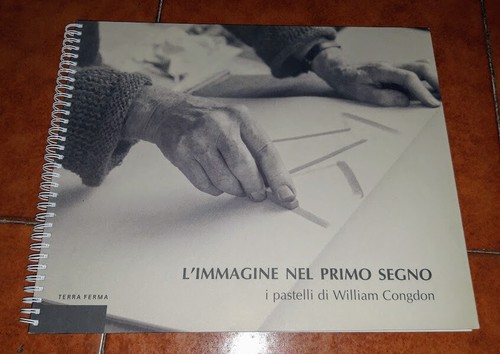 Immagine nel primo segno i - nel,