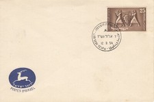 Vite - Vino - Wine - Enologia