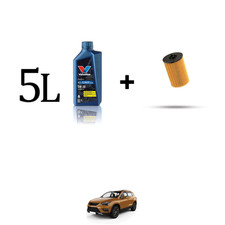 Kit filtro olio e 5L per Seat