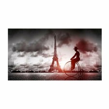 Quadro moderno lucido in plexiglass 100x180 cm PARIS BIKE PLEXART